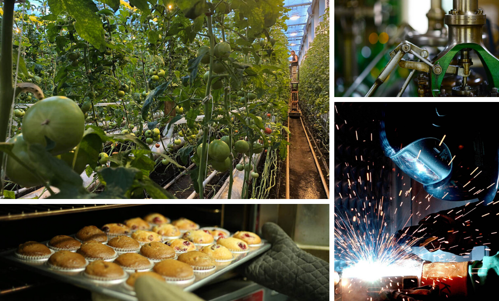 Collage of photos from different businesses...tomatoes in a green house with energy efficient lighting, muffins in a professional baking oven, welder, industrial machinery.