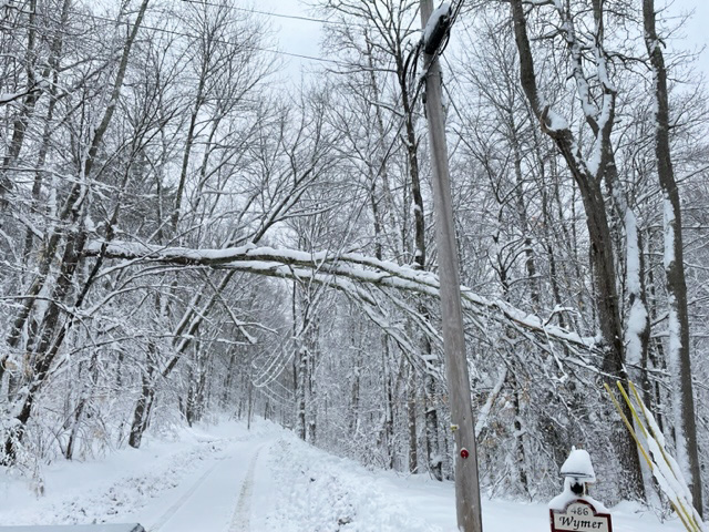 Snowy scene on the road in the woods with a tree down over a power line