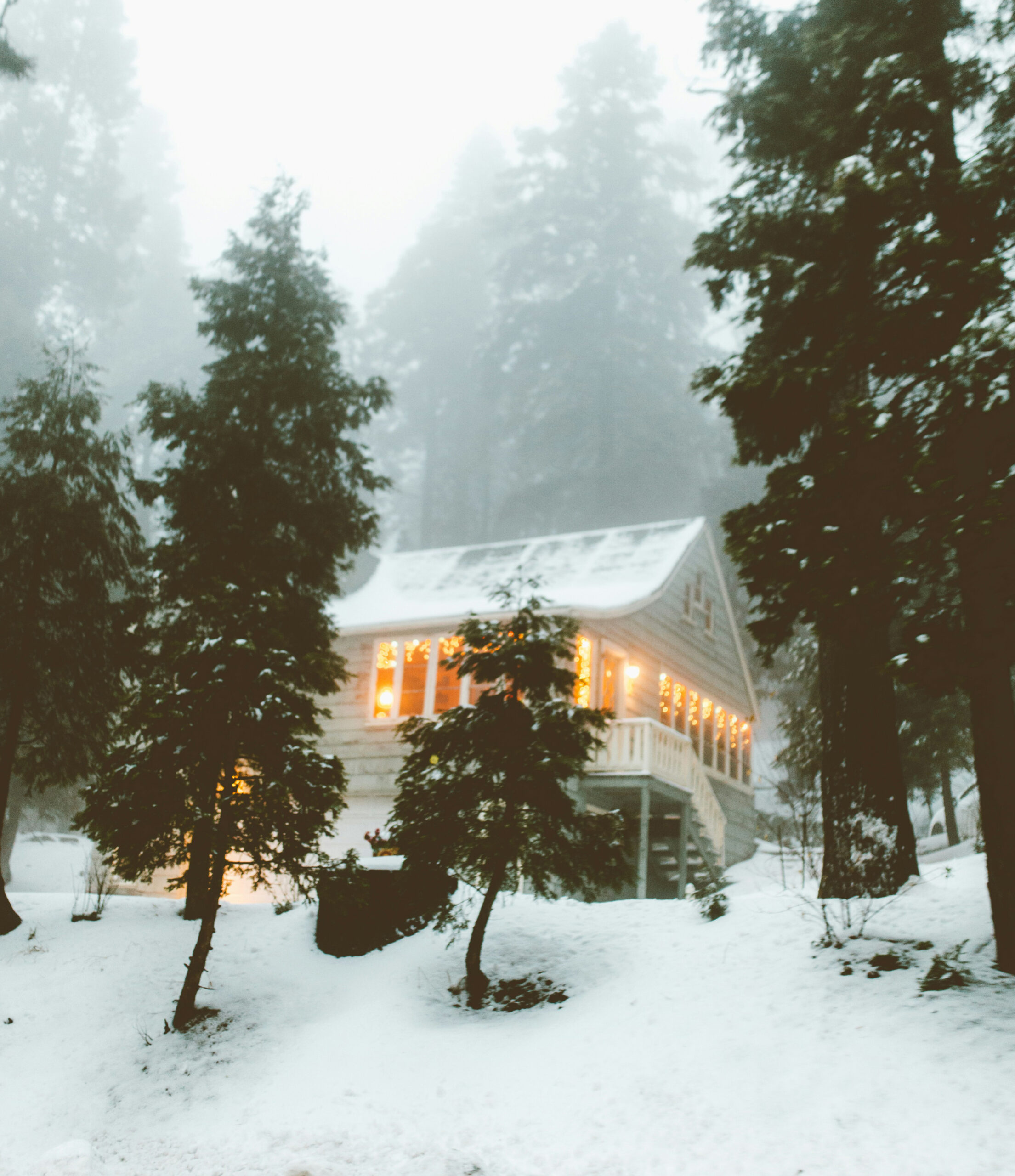White house in the snow with lights on inside and trees around it